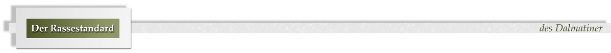 des Dalmatiner Der Rassestandard