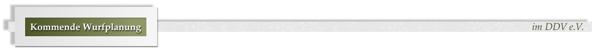 im DDV e.V. Kommende Wurfplanung