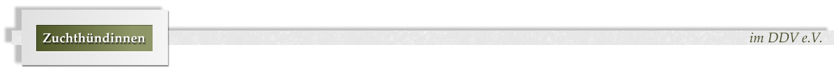 im DDV e.V. Zuchthündinnen