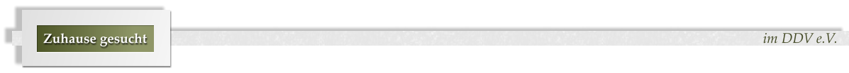 im DDV e.V. Zuhause gesucht